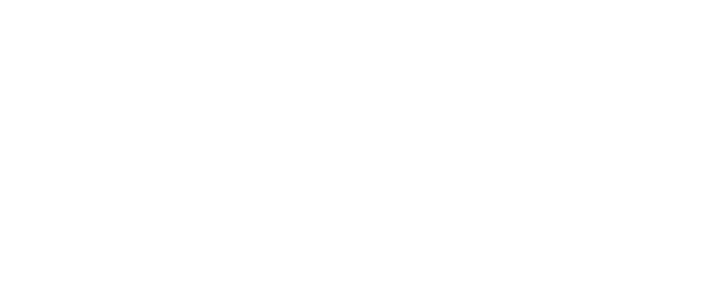Fallow Deer
